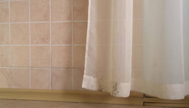 Best Indoor Air Quality Assessment  in Buckhannon, WV