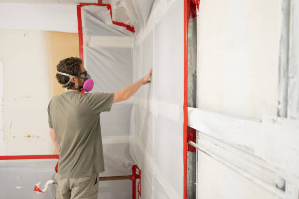 Mold Remediation for Vacation Homes in Buckhannon, WV