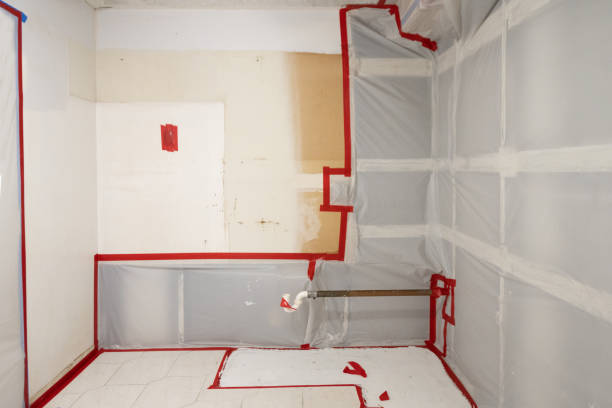 Best Black Mold Removal  in Buckhannon, WV