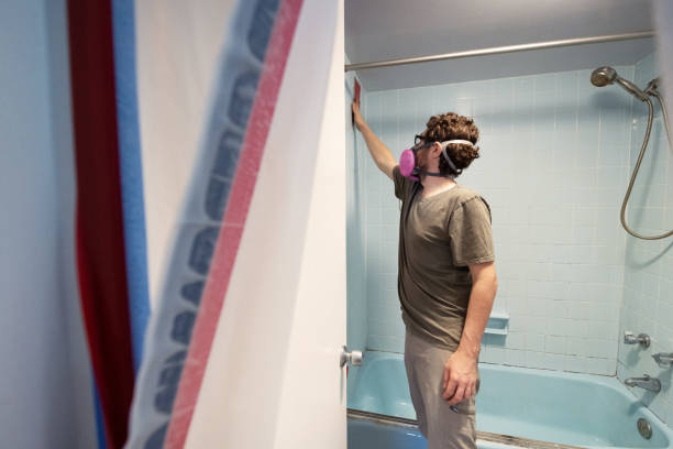 Best Real Estate Mold Inspection  in Buckhannon, WV