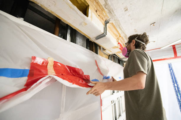 Best Mold Odor Removal Services  in Buckhannon, WV