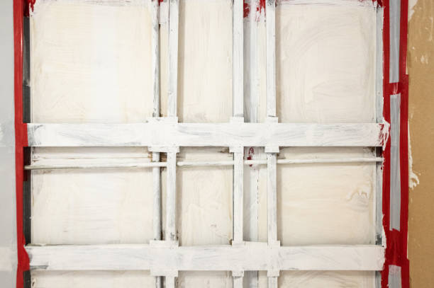 Trusted Buckhannon, WV Mold Removal Experts