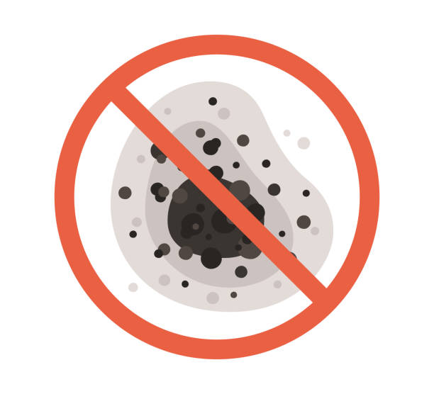 Best Residential Mold Inspection & Testing  in Buckhannon, WV
