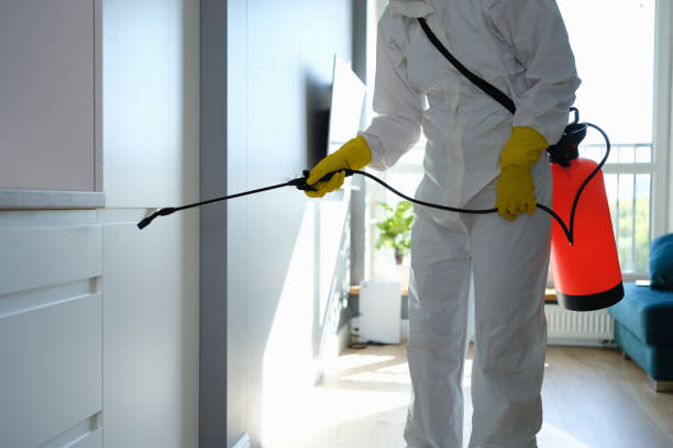 Best Environmental Consulting for Mold Prevention  in Buckhannon, WV